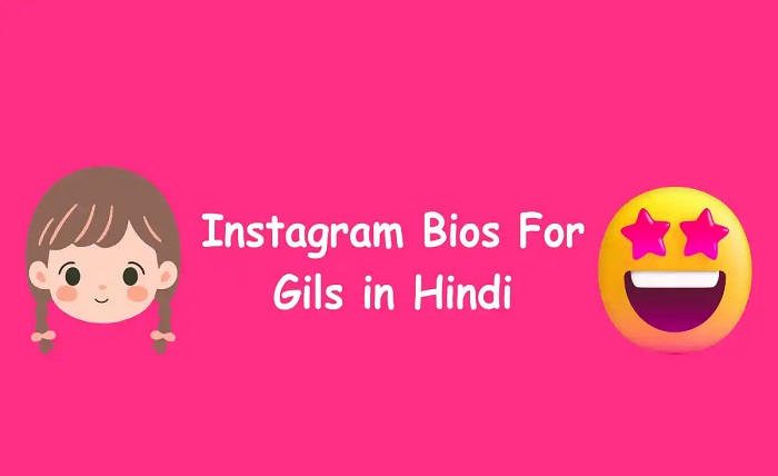 instagram bio hindi